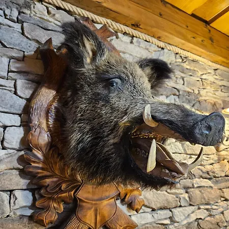 Dvojapartmanova Drevenica Myto Apartment Mýto pod Ďumbierom