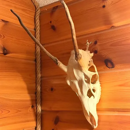 Dvojapartmanova Drevenica Myto * Mýto pod Ďumbierom