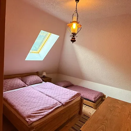 Dvojapartmanova Drevenica Myto Apartment *