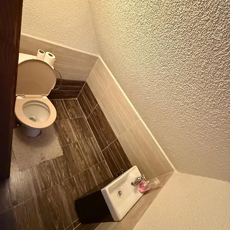 Apartment Dvojapartmanova Drevenica Myto *