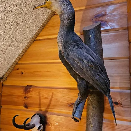 Dvojapartmanova Drevenica Myto Apartment Mýto pod Ďumbierom