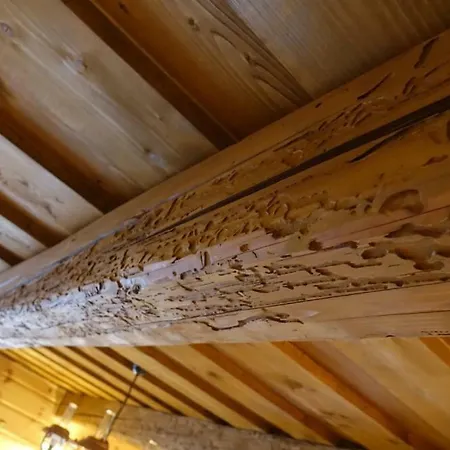 Dvojapartmanova Drevenica Myto Apartment