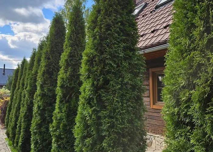 דירה Dvojapartmanova Drevenica Myto *