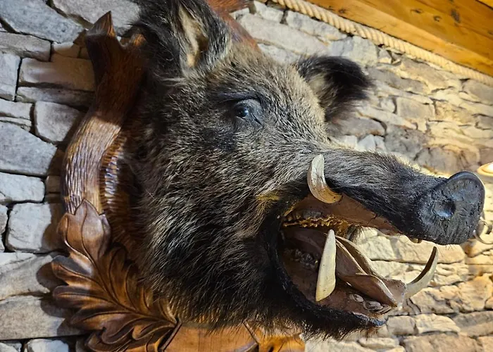 Dvojapartmanova Drevenica Myto דירה Mýto pod Ďumbierom