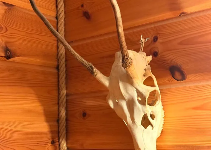 Dvojapartmanova Drevenica Myto * Mýto pod Ďumbierom