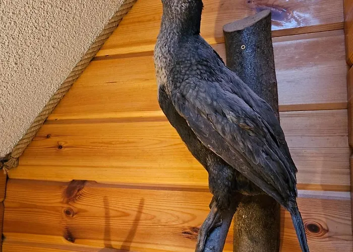 Dvojapartmanova Drevenica Myto דירה Mýto pod Ďumbierom