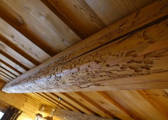 Dvojapartmanova Drevenica Myto דירה